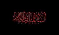 شهادت حضرت فاطمه زهرا (س) تسلیت باد.