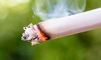فصلنامه پژوهشی Iranian Journal of cancer prevention منتشر شده توسط  مرکز تحقیقات سرطان