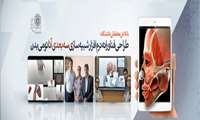 نرم‌افزار «تشریح جسد» برای دانشجویان پزشکی در راه است/ساخت «شبیه سازی سه بعدی آناتومی بدن» توسط محققان دانشگاه